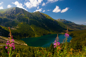 View from above of Morskie Oko, or Eye of the Sea. Beautiful mountain lake. Summer landscape in the Tatras, Poland. © Alexandra Lande