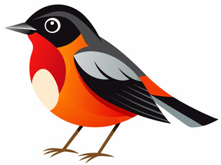 Rödhake