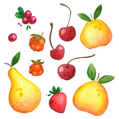 A set of berries and fruits: lingonberry, strawberry, cherry, cloudberry, pear and apple. Hand drawn watercolor illustration. Design for cards, kitchen posters, invitations and stickers. Nature, natur