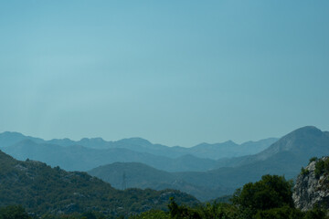 landscape of hills with trees in summer on a sunny day 