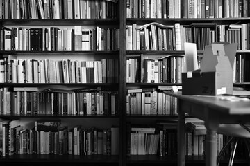 Books in Library