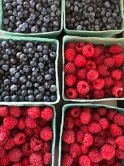 fresh berries