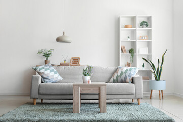 Aroma diffuser and houseplant on wooden table and comfortable sofa in interior of living room