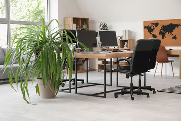 Interior of stylish office with workplaces, modern computers, houseplant and armchairs