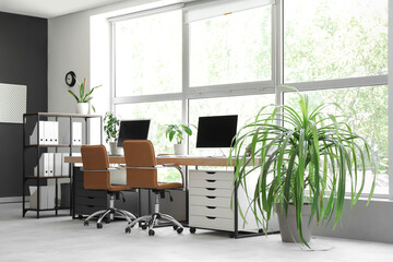 Interior of stylish office with workplaces, modern computers, houseplant and armchairs