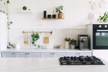 Modern kitchen with gas stove and plants in a stylish home interior