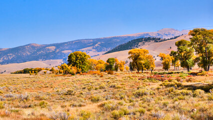 Fall landscape in Grand Teton National Park