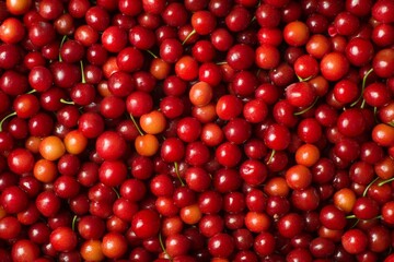 Regina Cherry fruit background