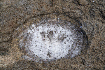 Haloclasty (also called salt weathering) is a type of physical weathering caused by the growth and thermal expansion of salt crystals. Kaʻena Point , North Shore, Oahu Hawaii