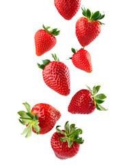 Group of red strawberries falling freely on white background