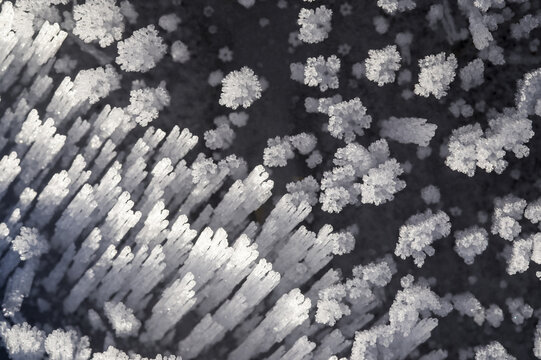 Ice crystals, hoarfrost