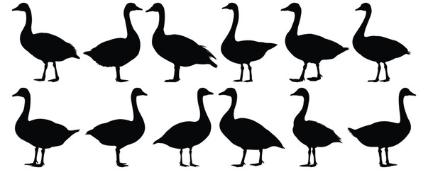 Duck silhouette set vector design big pack of bird illustration and icon