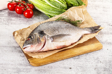 Raw dorada fish served rosemary