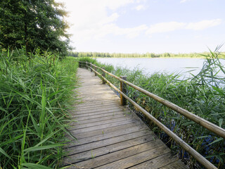 Obraz premium A wooden boardwalk foot path runs along the edge of a lake. The water is calm and the sky is clear. Warm sunny day vibe. Green grass on a side. Park design and outdoor activity