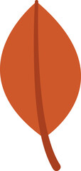 Autumn Tree Leaf