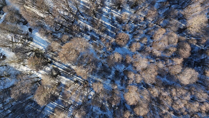 Fototapeta premium Spinning Forest At Ushuaia In Tierra Del Fuego Argentina. Winter Landscape. Outdoor Spinning. Tierra Del Fuego Argentina. Snow Capped Forest. Spinning Forest At Ushuaia In Tierra Del Fuego Argentina.