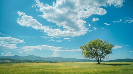 Fototapeta premium A serene landscape with a clear blue sky and a World Ozone Day message, symbolizing the health of our atmosphere