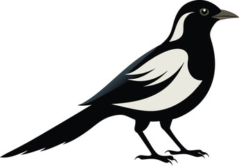 magpie silhouette vector art illustration 