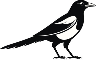 magpie silhouette vector art illustration 