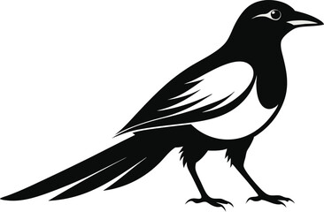 magpie silhouette vector art illustration 