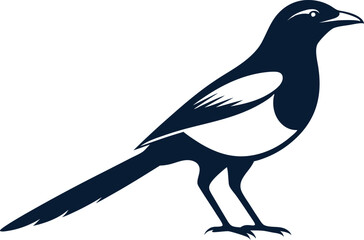 magpie silhouette vector art illustration 