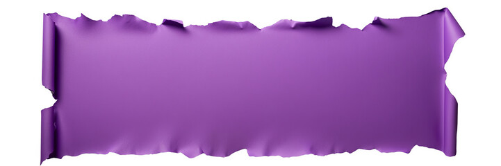 Large Torn Purple Paper Sheet with White Background