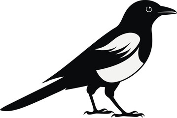 magpie silhouette vector art illustration 