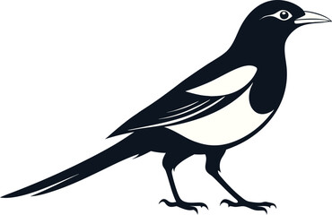 magpie silhouette vector art illustration 
