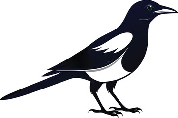 magpie silhouette vector art illustration 