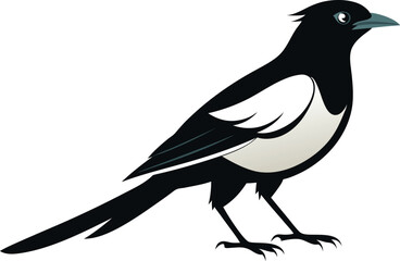 magpie silhouette vector art illustration 