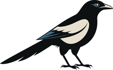 magpie silhouette vector art illustration 
