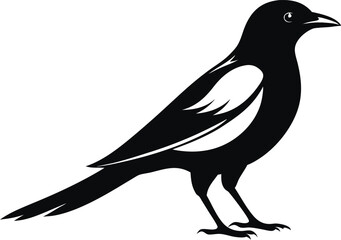 magpie silhouette vector art illustration 