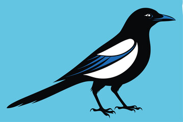 magpie silhouette vector art illustration 