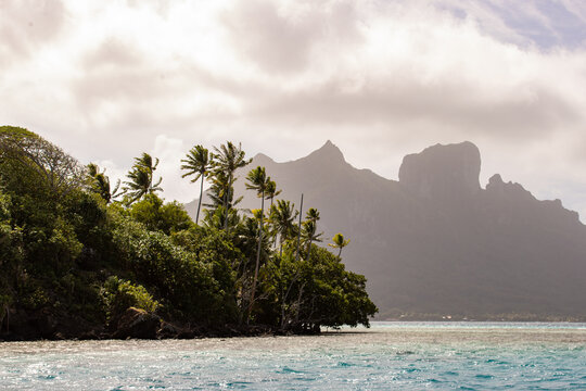 view from the ocean of palm trees, mount oteman and more on the tropical island of bora bora in french polynesia. 