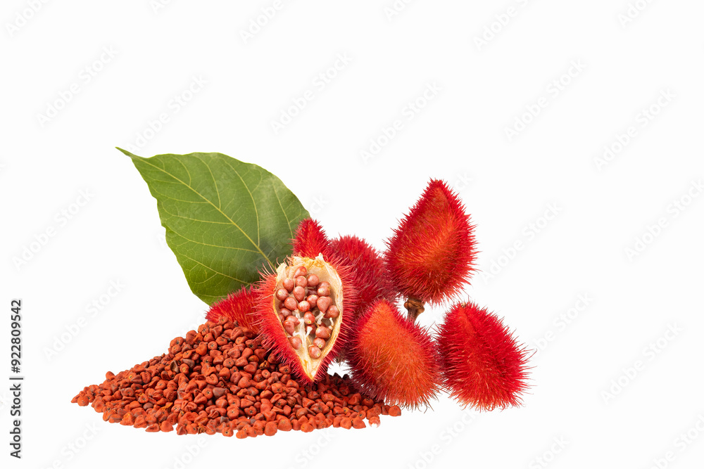 Canvas Prints Pile of organic annatto seeds - Seasoning and red food coloring. Bixa Orellana