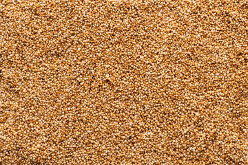 Pile of organic amaranth seeds - Amaranthus.