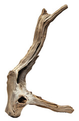 Naklejka premium Unique driftwood piece with intricate shapes, cut out - stock png.