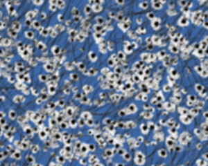 Gothic style seamless pattern with soft blurry poppies flowers. Halloween themed graphic print for clothing, fabric, wallpaper, home decor, wrapping paper