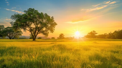 Fototapeta premium Free good morning scene wallpaper background photo