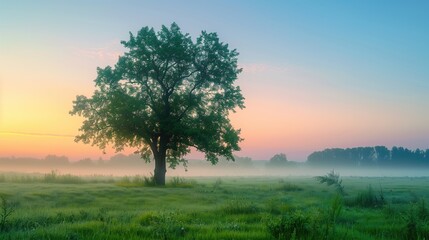 Fototapeta premium Free good morning scene wallpaper background photo
