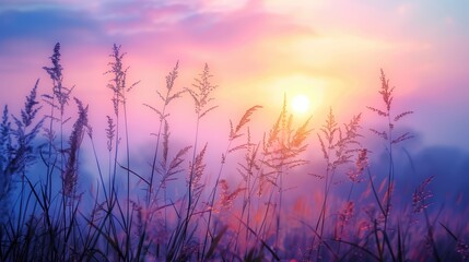 Free good morning scene wallpaper background photo