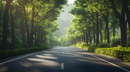 Obraz premium Hangzhou Mountainside Escarpment Nature Reserve Forest Greenery Dawn