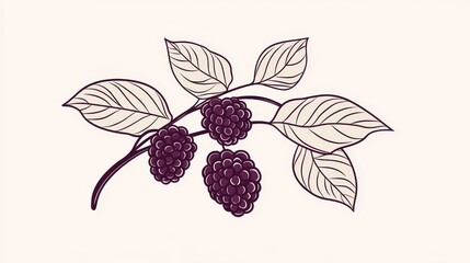 Simple line art of mulberries on a branch, hand-drawn aesthetic, clean minimalist design, white backdrop