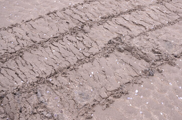 texture of a wet sand road