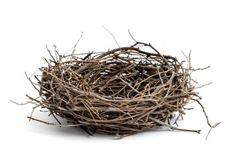 Obraz premium Ebrace nest isolated on white background.
