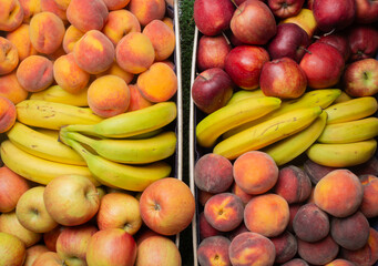 group of beautiful fruits for background