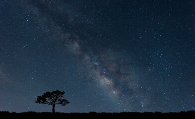 Panorama blue night sky milky way and star on dark background.Universe filled with stars, nebula and galaxy with noise and grain.Photo by long exposure