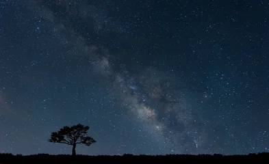 Panorama blue night sky milky way and star on dark background.Universe filled with stars, nebula and galaxy with noise and grain.Photo by long exposure © Mohwet