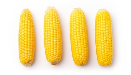 corn on the cob