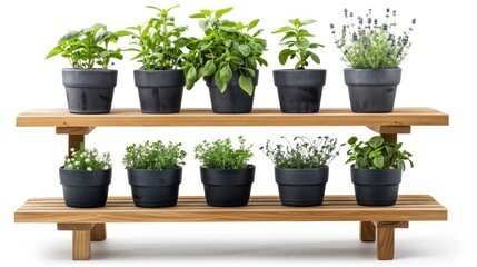 Fototapeta premium Multi-tiered garden shelf with herb and flower pots, isolated on white background.